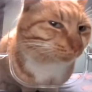 Meet your Posher, Ethan